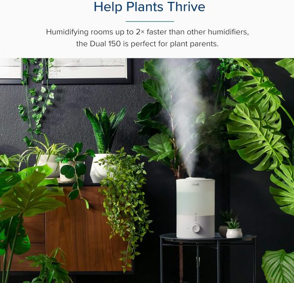 LEVOIT Humidifiers for Bedroom Baby, Sprout Evaporative with Dual Filters for Air & Water, Separate Sensor, Adjustable No Blue Nightlight, Auto Dry, Smart Control & Alexa, Auto Mode, 3.8L Tank for 36H - Image 51